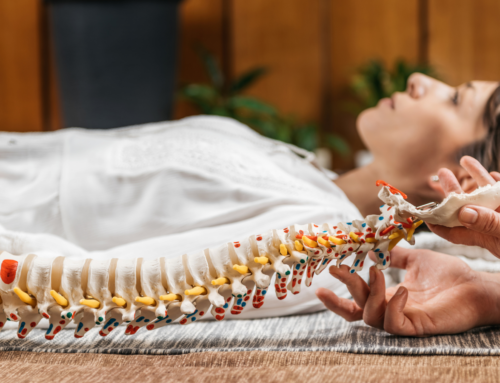 Top Spinal Wellness Tips for Back Pain Relief